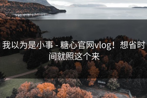 我以为是小事 - 糖心官网vlog！想省时间就照这个来