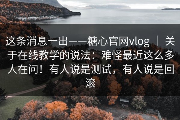 这条消息一出——糖心官网vlog ｜ 关于在线教学的说法：难怪最近这么多人在问！有人说是测试，有人说是回滚
