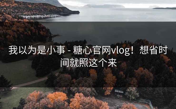 我以为是小事 - 糖心官网vlog！想省时间就照这个来
